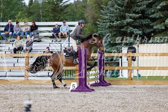 2025 - Haylee - Picco Horse Show - Friay July 25th 01423