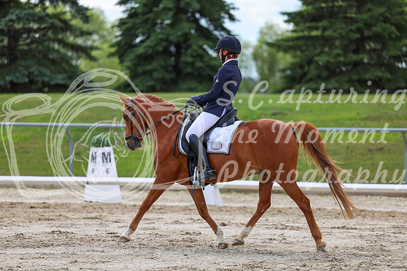 2025 - Dressage Festival - Saturday July 5th - 13792