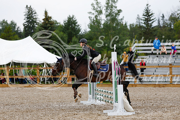 2025 - Haylee - Picco Horse Show - Sunday July 27th 00580