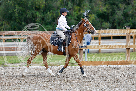 2025 - Haylee - Picco Horse Show - Friay July 25th 01650