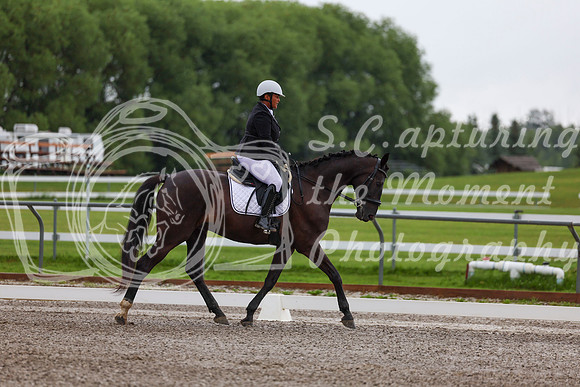 2025 - Dressage Festival - Sunday July 6th - 01285