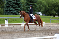 2025 - Dressage Festival - Sunday July 6th - 10394