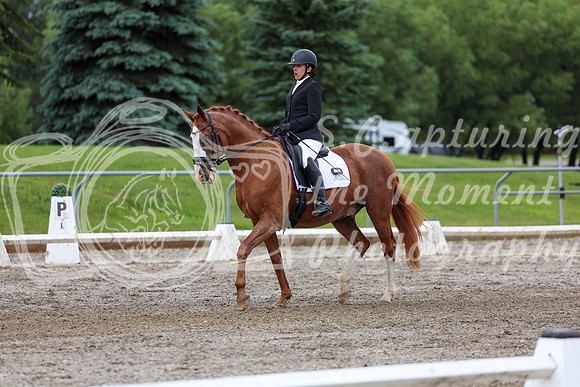 2025 - Dressage Festival - Sunday July 6th - 10394