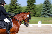 2025 - Dressage Festival - Saturday July 5th - 01867
