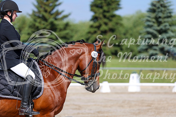 2025 - Dressage Festival - Saturday July 5th - 01867