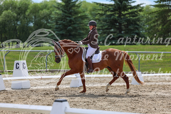 2025 - Dressage Festival - Saturday July 5th - 14161