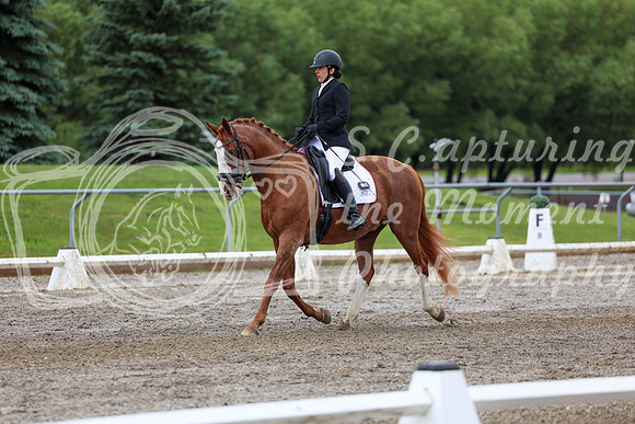 2025 - Dressage Festival - Sunday July 6th - 10391