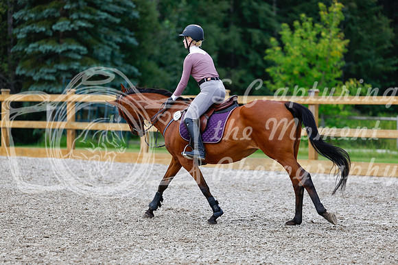 2025 - Haylee - Picco Horse Show - Saturday July 26th 01731