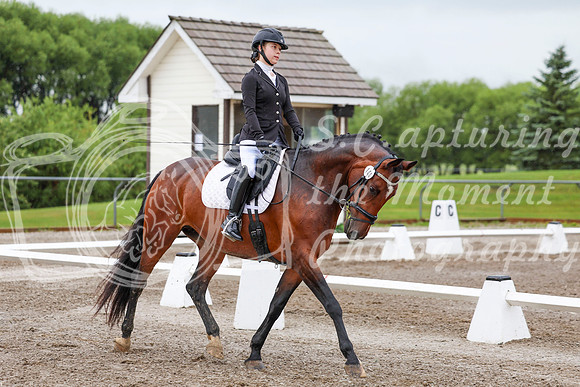 2025 - Dressage Festival - Sunday July 6th - 00823
