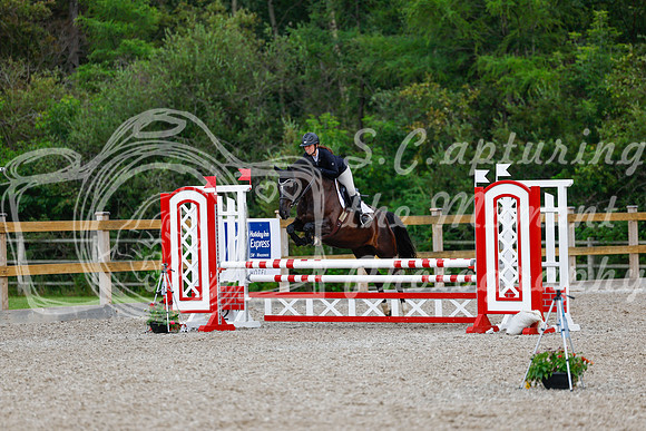 2025 - Haylee - Picco Horse Show - Sunday July 27th 03509