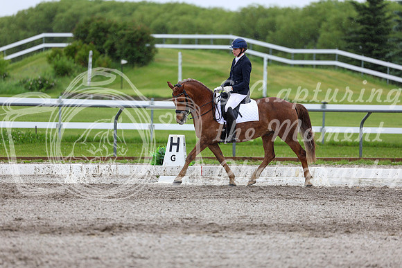 2025 - Dressage Festival - Sunday July 6th - 07642