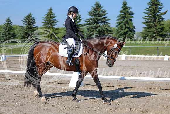 2025 - Dressage Festival - Saturday July 5th - 01253