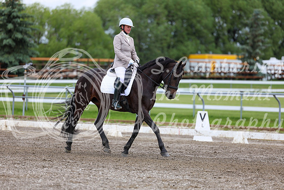 2025 - Dressage Festival - Sunday July 6th - 10454
