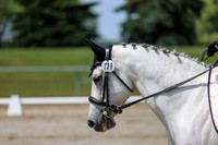 2025 - Dressage Festival - Saturday July 5th - 06571