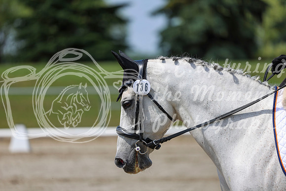 2025 - Dressage Festival - Saturday July 5th - 06571