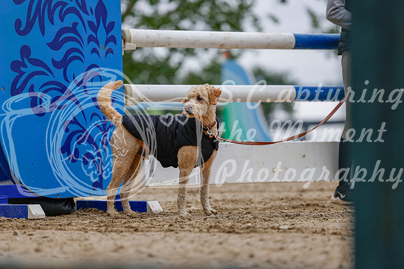 2025 - Haylee - Rocky Mountain Classic II - Friday August 15th - 01950