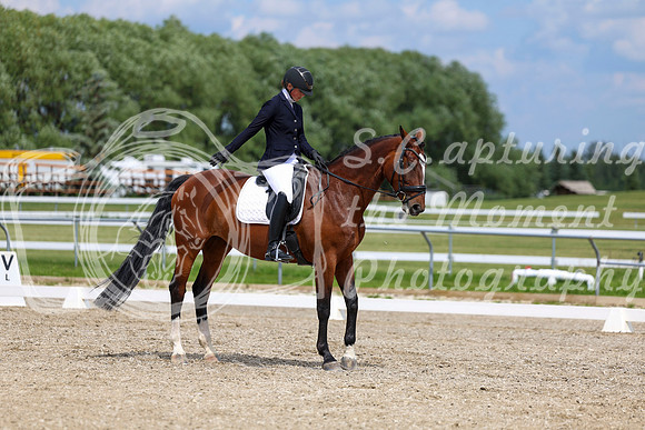 2025 - Dressage Festival - Saturday July 5th - 12831
