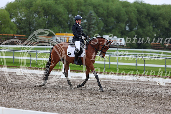 2025 - Dressage Festival - Sunday July 6th - 06522