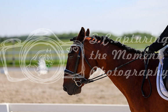 2025 - Dressage Festival - Saturday July 5th - 05150