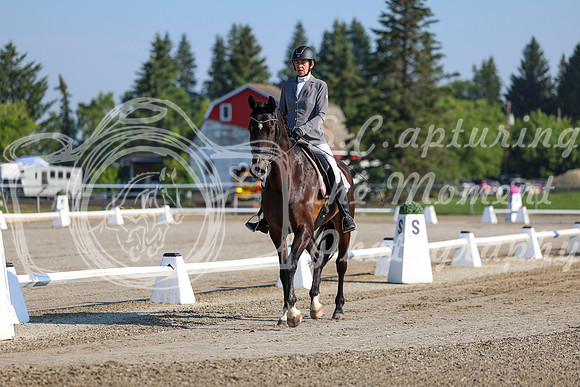 2025 - Dressage Festival - Saturday July 5th - 00103