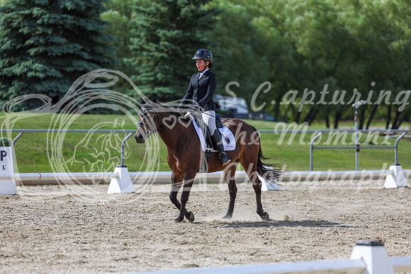 2025 - Dressage Festival - Saturday July 5th - 15454