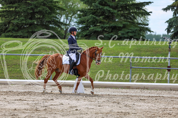 2025 - Dressage Festival - Saturday July 5th - 13805