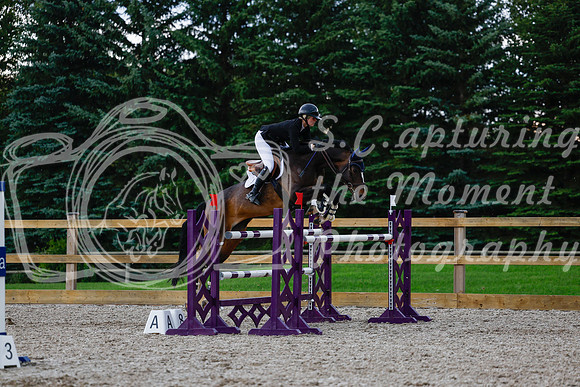 2025 - Haylee - Picco Horse Show - Sunday July 27th 06939