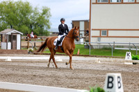 2025 - Dressage Festival - Sunday July 6th - 11079