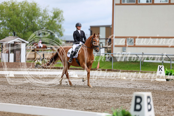 2025 - Dressage Festival - Sunday July 6th - 11079