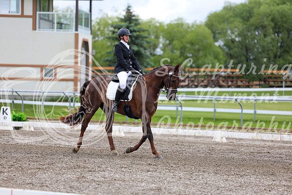 2025 - Dressage Festival - Sunday July 6th - 09577