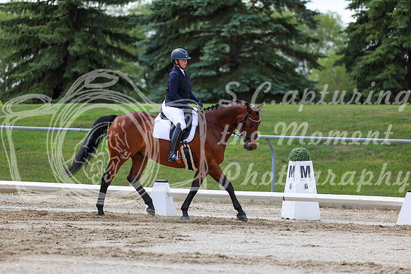 2025 - Dressage Festival - Saturday July 5th - 09735
