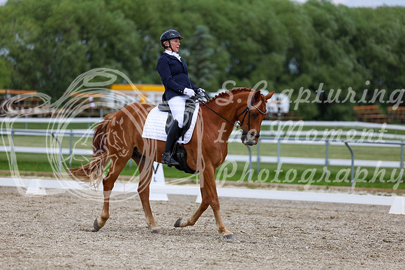2025 - Dressage Festival - Saturday July 5th - 12474