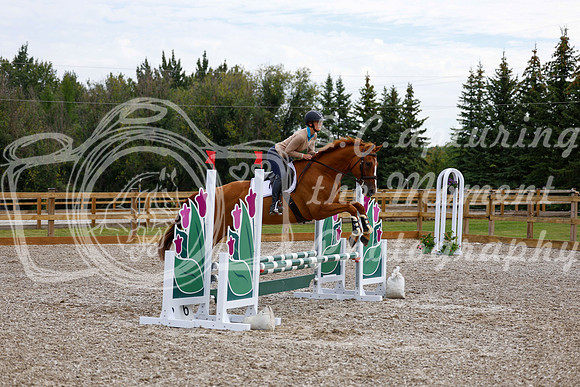 2025 - Haylee - Picco Horse Show - Saturday July 26th 01621