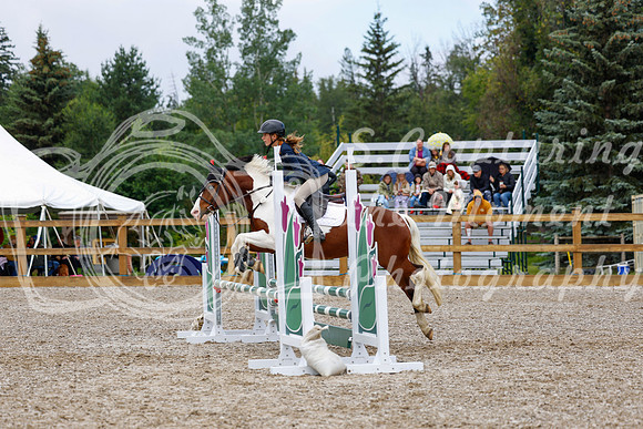 2025 - Haylee - Picco Horse Show - Sunday July 27th 01674