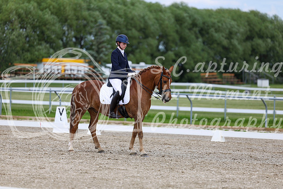 2025 - Dressage Festival - Saturday July 5th - 11826