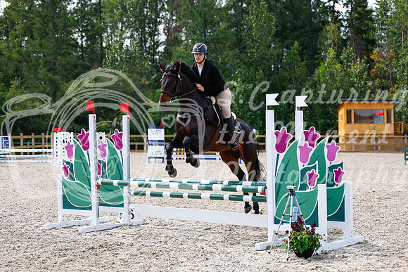 2025 - Haylee - Picco Horse Show - Thursday July 24th 01622
