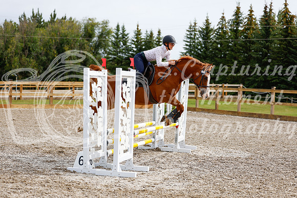 2025 - Haylee - Picco Horse Show - Friay July 25th 00912