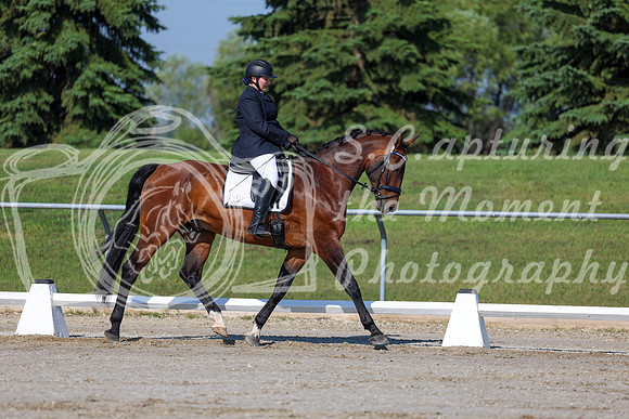 2025 - Dressage Festival - Saturday July 5th - 01060