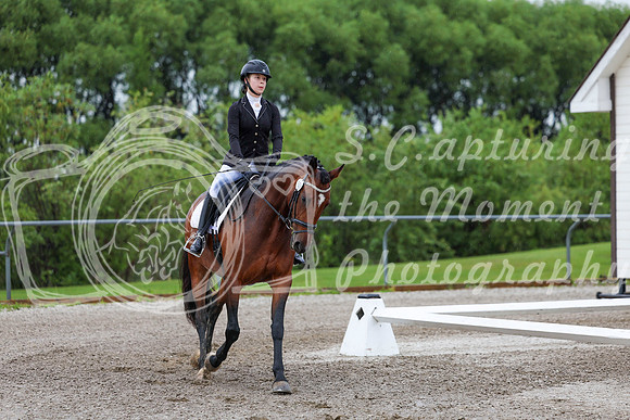 2025 - Dressage Festival - Sunday July 6th - 00817