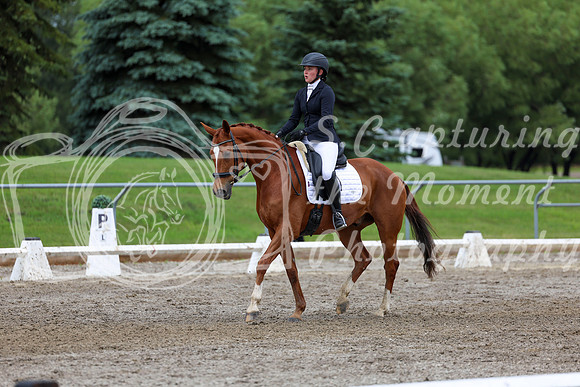 2025 - Dressage Festival - Sunday July 6th - 12268