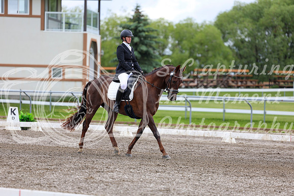 2025 - Dressage Festival - Sunday July 6th - 09575