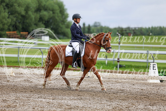 2025 - Dressage Festival - Sunday July 6th - 12215