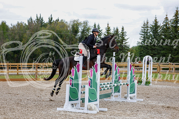 2025 - Haylee - Picco Horse Show - Saturday July 26th 05247