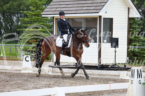 2025 - Dressage Festival - Sunday July 6th - 08770