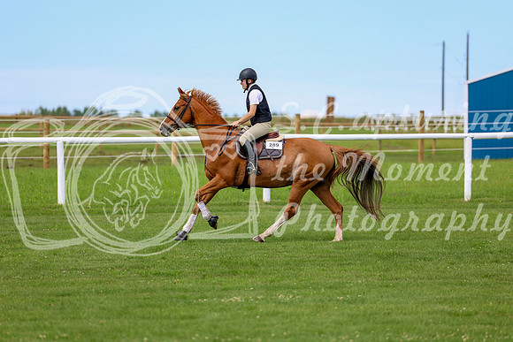 2025 - Shea - Teesdale - Thursday July 24th - 04258