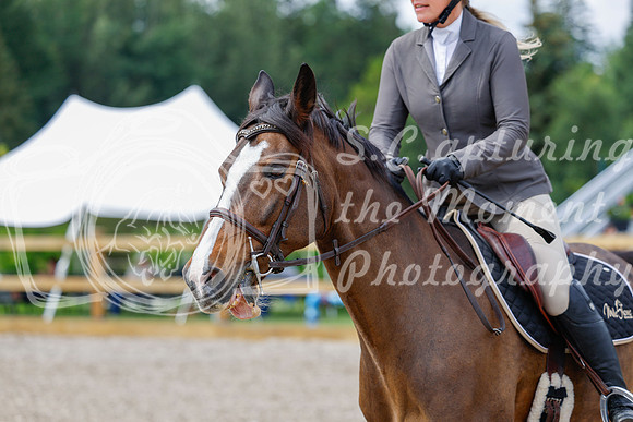 2025 - Haylee - Picco Horse Show - Saturday July 26th 03963
