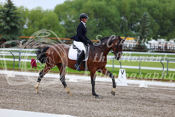 2025 - Dressage Festival - Sunday July 6th - 04426