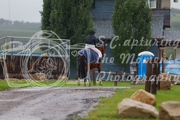 2025 - Shea - Mid Summer Classic II - Thursday July 17th - 02904