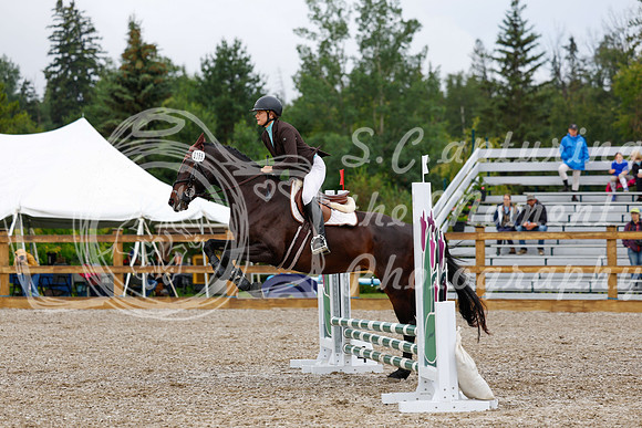 2025 - Haylee - Picco Horse Show - Sunday July 27th 00898