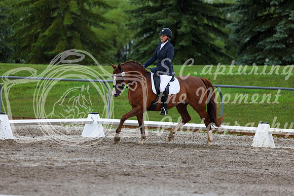 2025 - Dressage Festival - Sunday July 6th - 05315